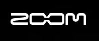 Zoom Logo